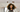 11 Years of MYAVANA: Revolutionizing Textured Hair Care with Science and Technology